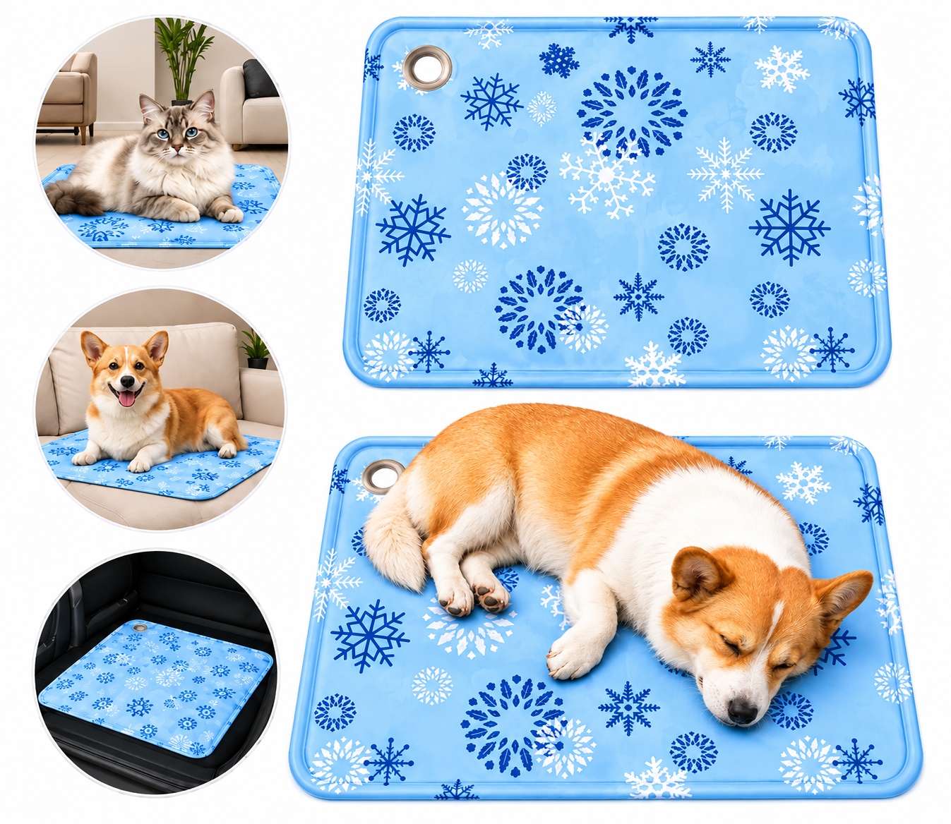 product-pic