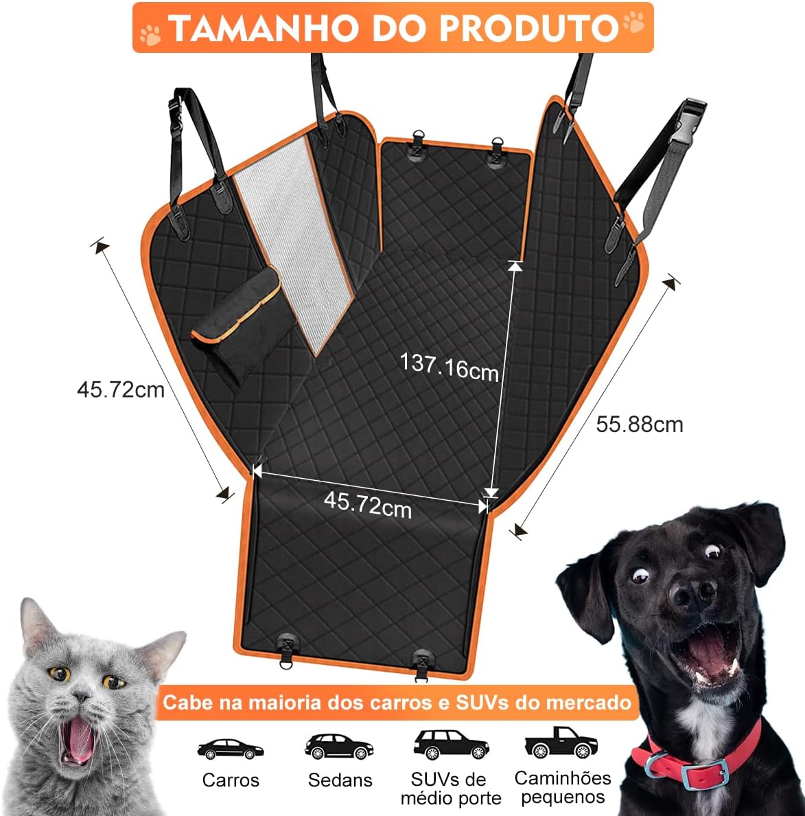 Imagens carrossel